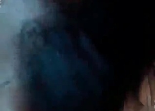 Fast and furious fucking with a horny dog