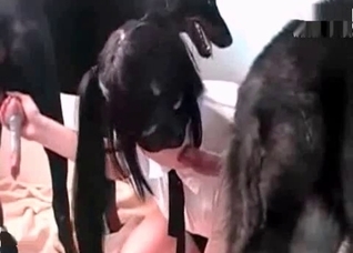 This dog is crazy about fucking the owner
