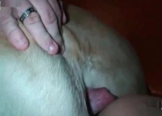 Two horny dogs enjoying this threesome