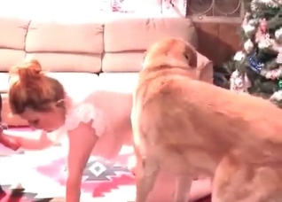 Insane animal banging session with a horny babe