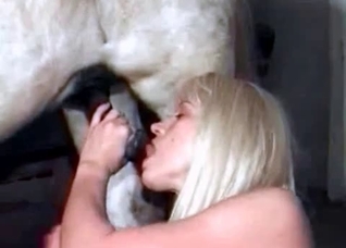 Tiny horse gets a nice blowjob on camera